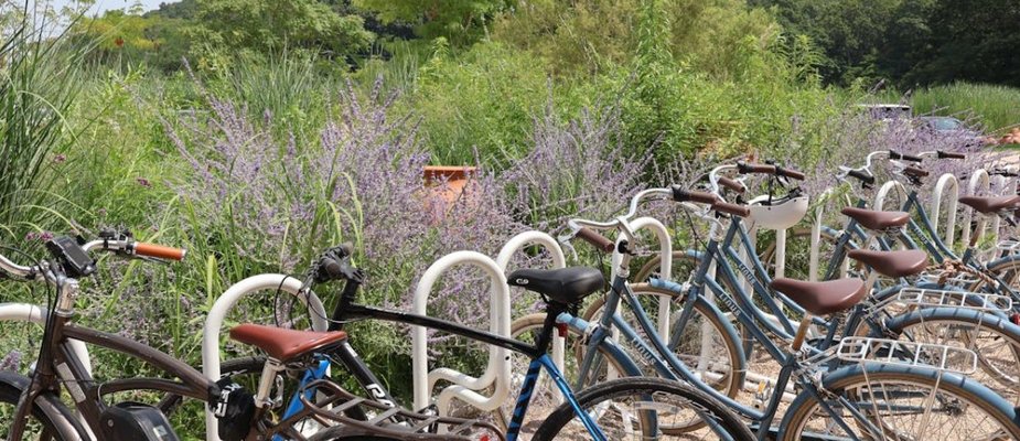 Quais são as principais peças de uma bicicleta? Conheça e entenda!