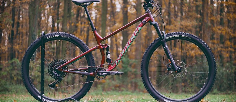 Esteira ou bicicleta? Descubra qual é a melhor para o seu treino!