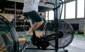 11 06 vt jr 330 jpg 9