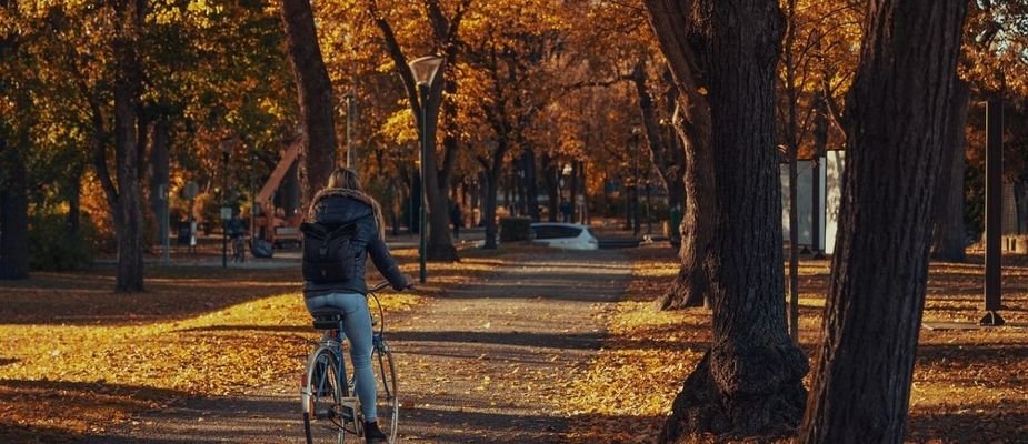 Conheça as melhores marcas de bicicleta: Savancini!